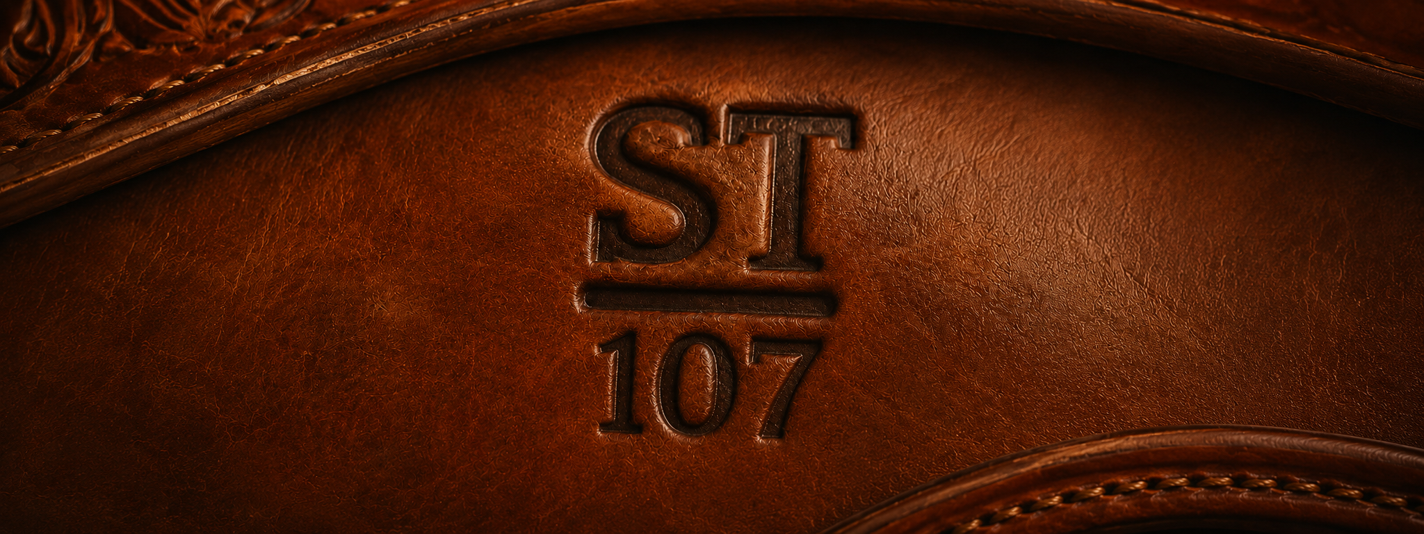 Security Traders ST-107 Branded Saddle - Privacy Policy